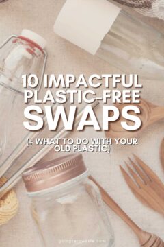 10 Impactful Plastic-Free Swaps (+ What To Do With Your Old Plastic)