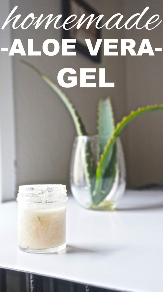 homemade aloe vera gel