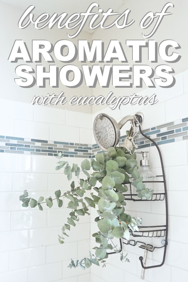 fresh eucalyptus in shower