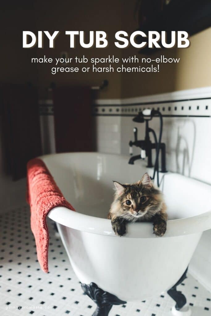 best tub cleaner diy