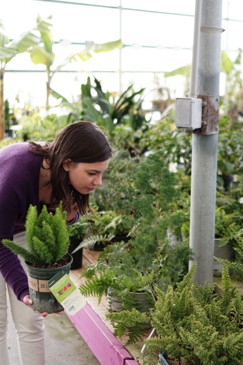 woman with plants