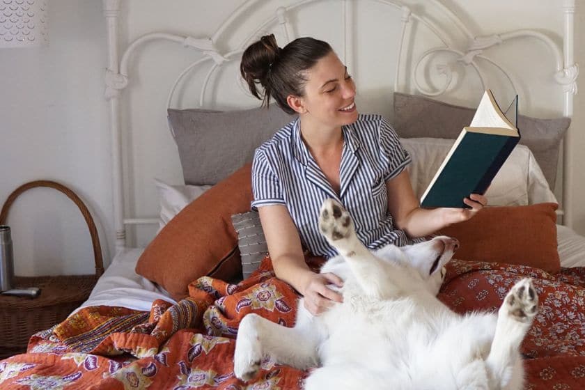 Dog friendly deals bed sheets