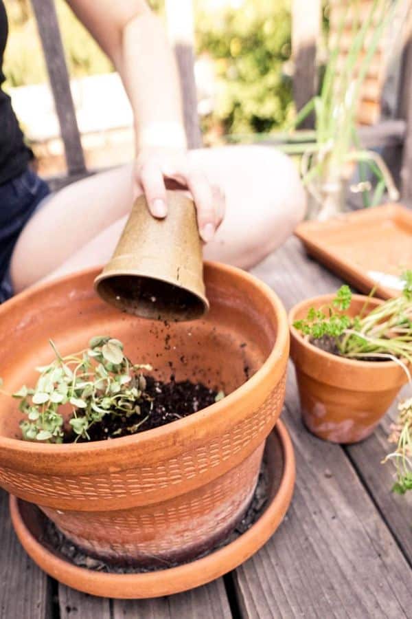 adding soil to planter