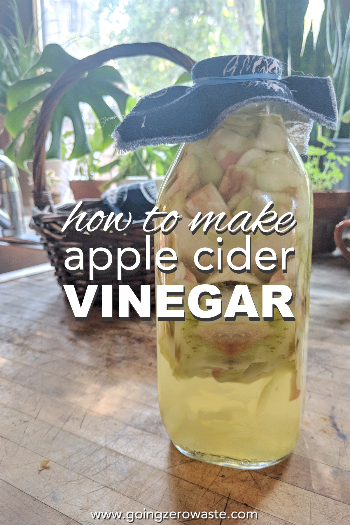 How to Make Apple Cider Vinegar from Scraps Going Zero Waste
