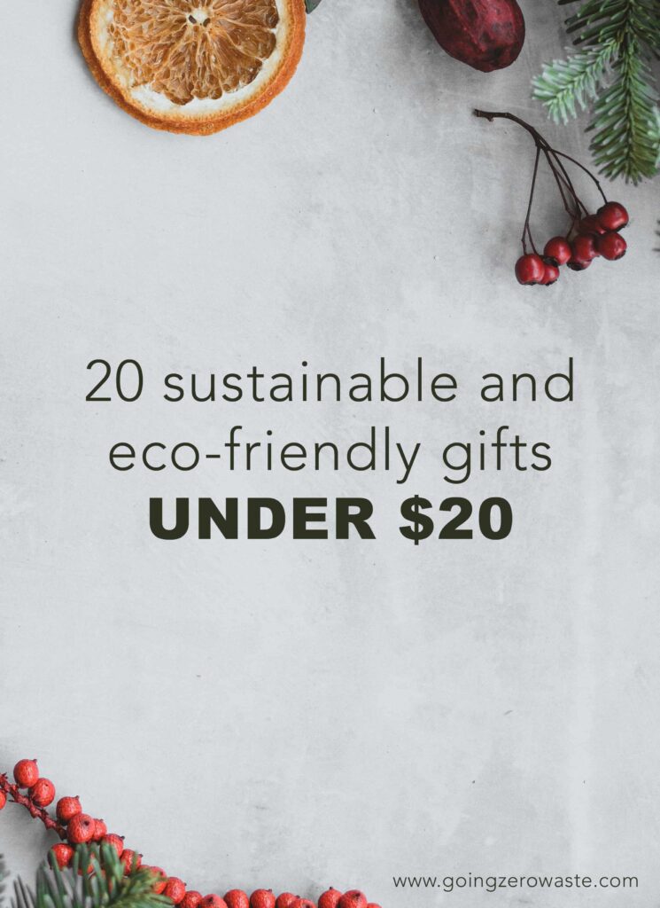 20 eco friendly and sustainable stocking stuffers under $20