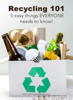 Recycling 101 - 5 Easy Things EVERYONE Needs to Know!