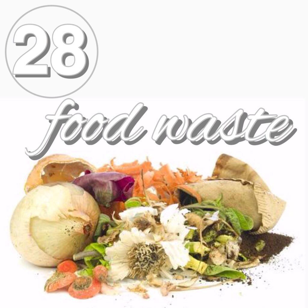 Zero Waste Challenge Day 28: Food Waste