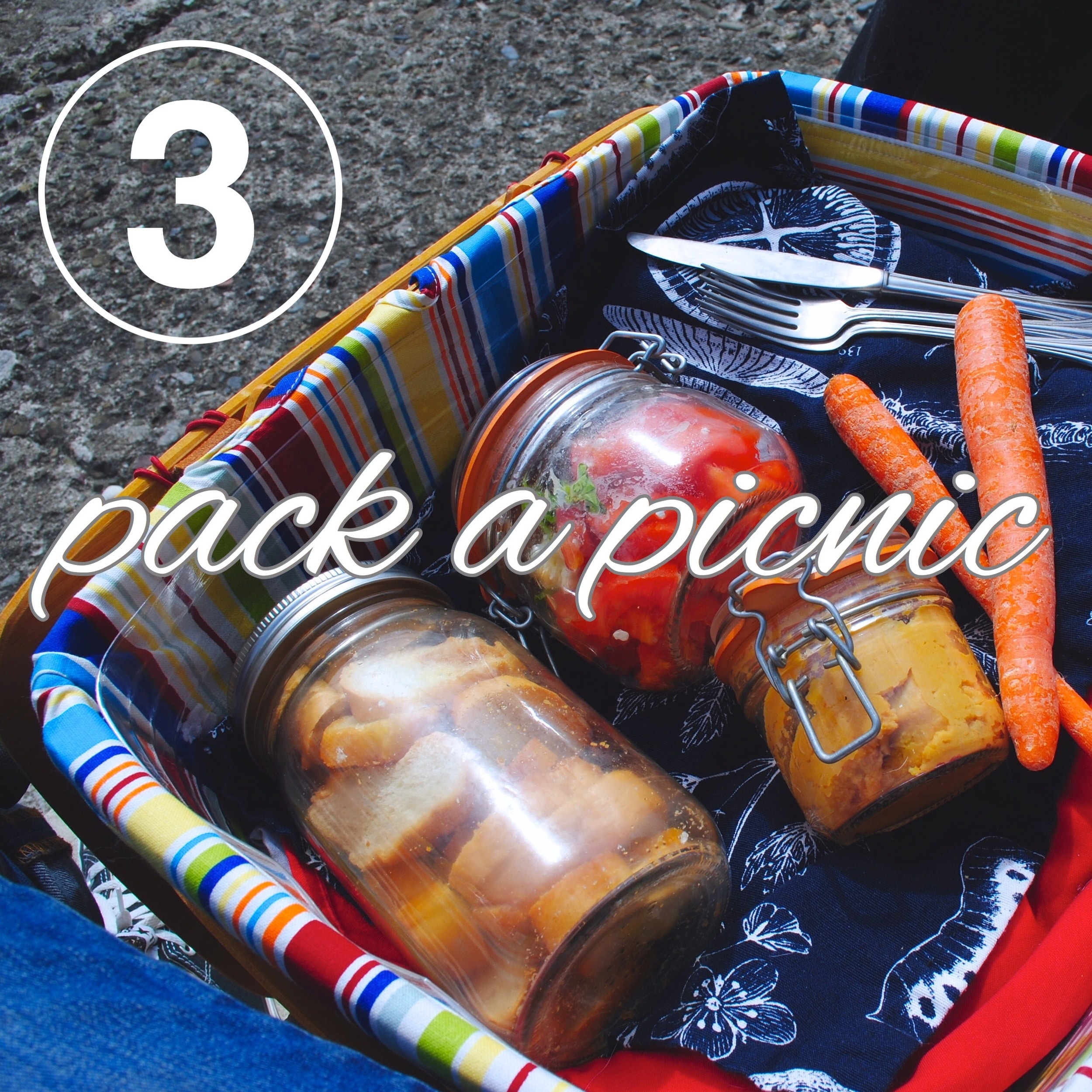 Zero Waste Challenge Day 3 Pack a Picnic Going Zero Waste