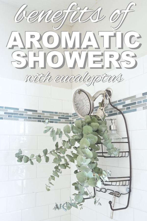 Benefits of Hanging Fresh Eucalyptus in the Shower