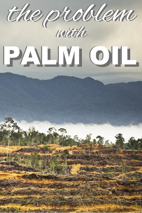 The Problem with Palm Oil