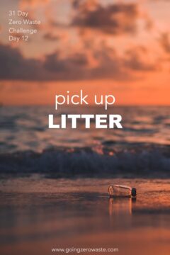 Pick up Litter - Day 12 of the Zero Waste Challenge