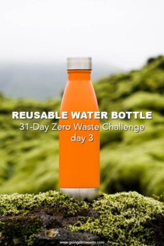 Bring a Reusable Water Bottle - Day 3 of the Zero Waste Challenge