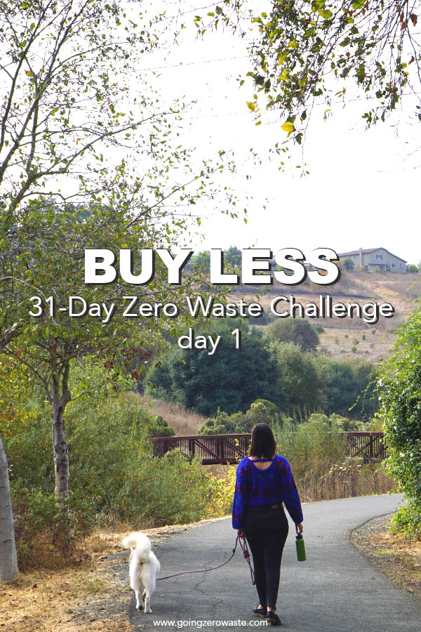 Buy Less – Day 1 of the Zero Waste Challenge