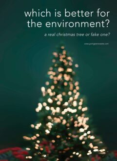 Choosing An Eco Friendly Christmas Tree