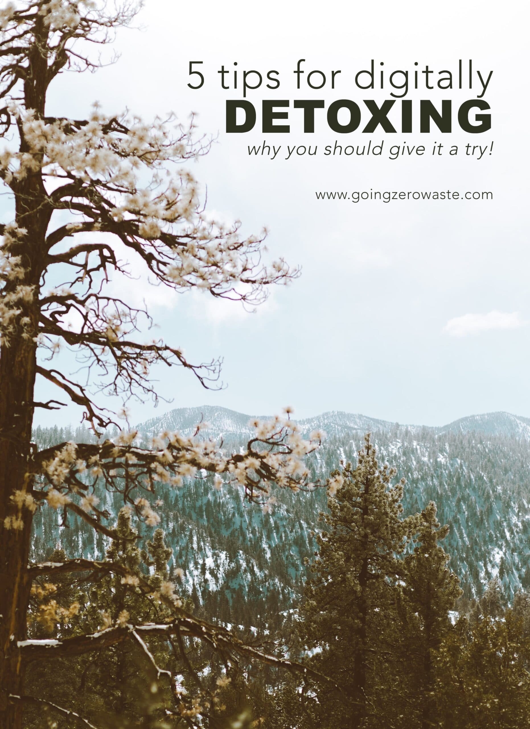 5 Tips for Digitally Detoxing and Why You Should Give it a Try