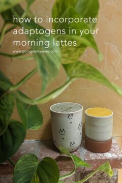 How to Incorporate Adaptogens in Your Morning Lattes