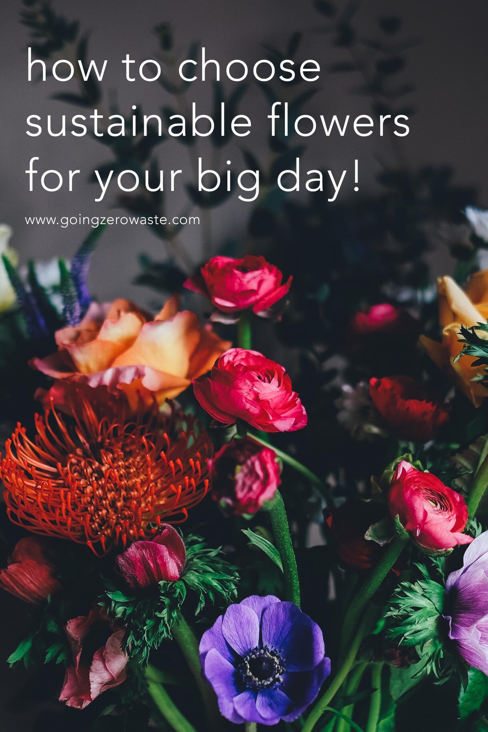 How to Choose Sustainable Flowers Going Zero Waste