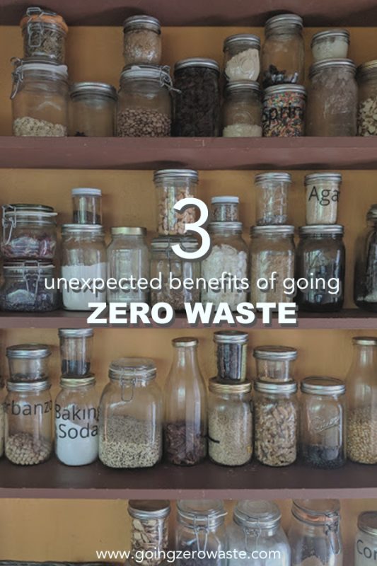 3 Unexpected Benefits of Going Zero Waste Going Zero Waste