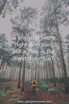 Is any step in the right direction, really a step in the right direction?