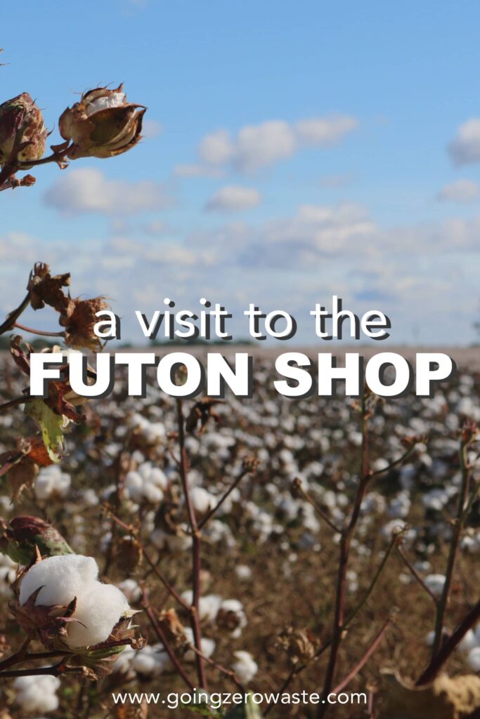 A Visit to The Futon Shop