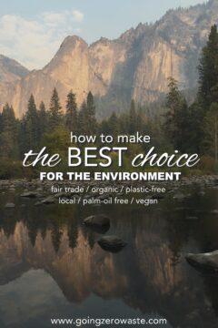 How to Make the BEST Choice for the Environment