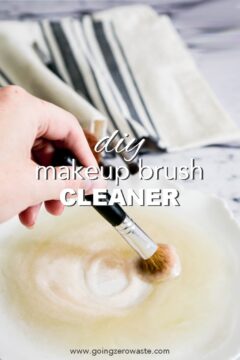 DIY Makeup Brush Cleaner