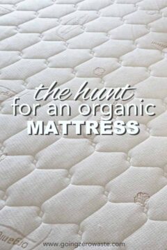 The Hunt for an Organic Mattress