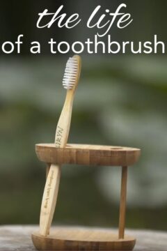 the life of a toothbrush