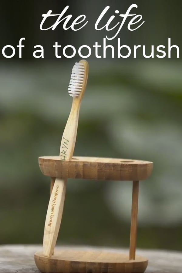 The Life of a Toothbrush