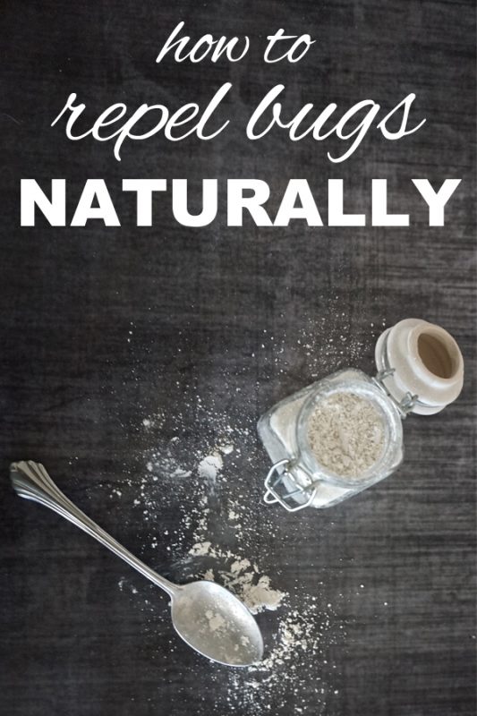 How to Repel Bugs Naturally Going Zero Waste