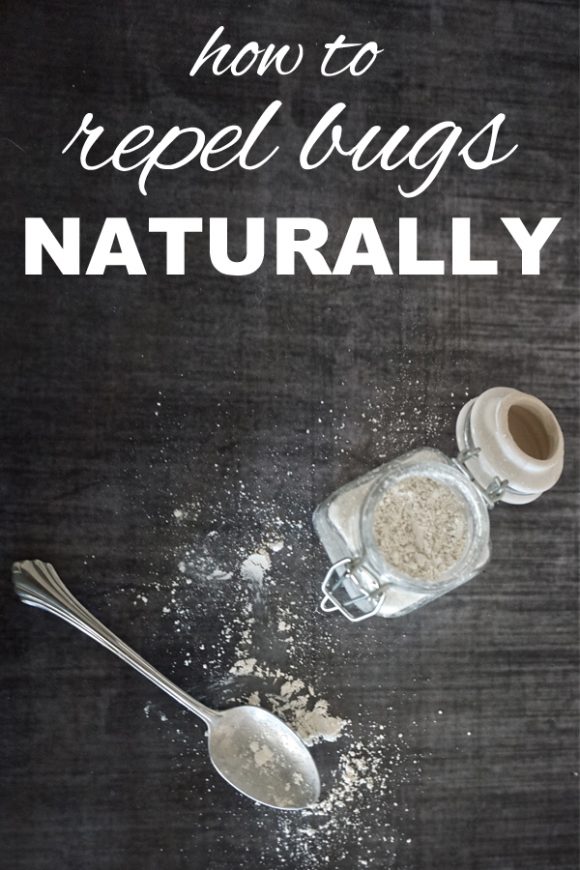 How to Repel Bugs Naturally Going Zero Waste