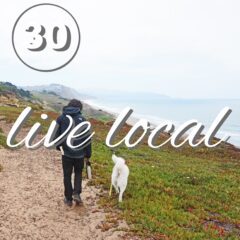 Zero Waste Challenge Day 30: Live Local shop local, shop small