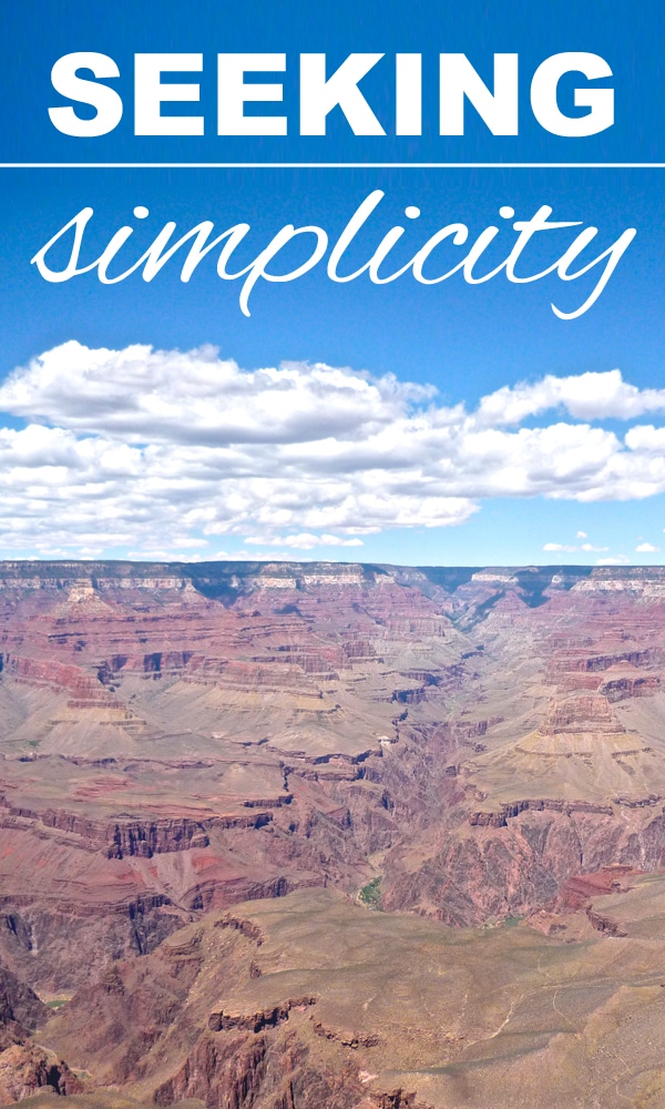 Seeking Simplicity