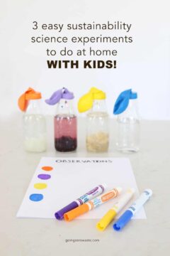 3 Simple Sustainability Science Experiments To Do At Home With Kids