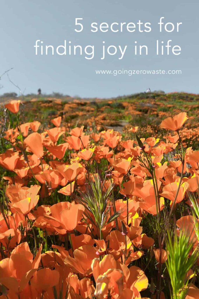 5 Secrets for Finding Joy in Life