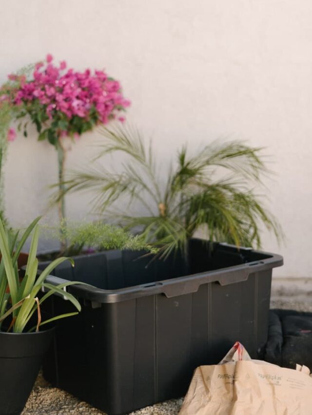 How to Build a DIY Compost Bin