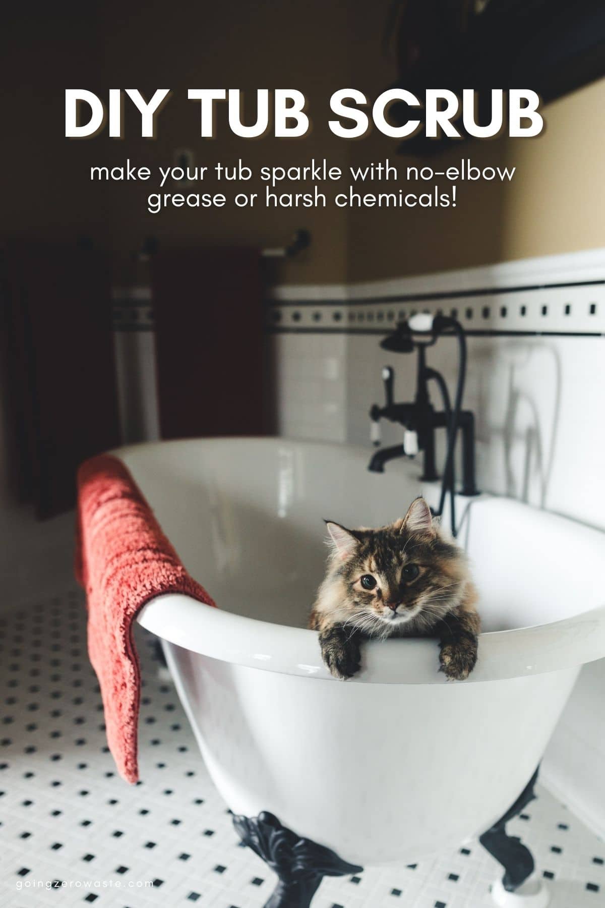 DIY Non-Toxic Bathtub Scrub Cleaner - Stephanie Moram