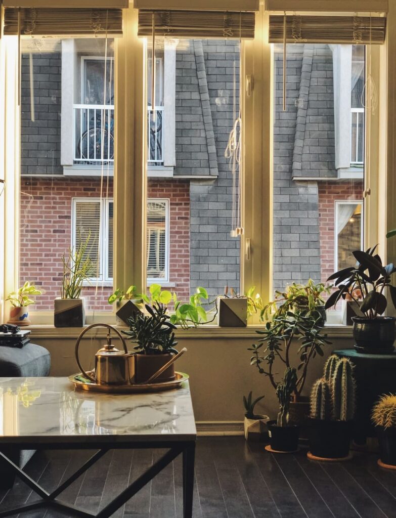 10 Ways to Make Your Home More Sustainable - dual paned windows