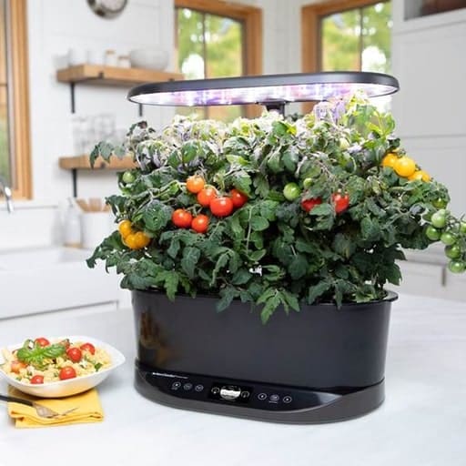 sustainable zero waste gifts from aerogarden and going zero waste