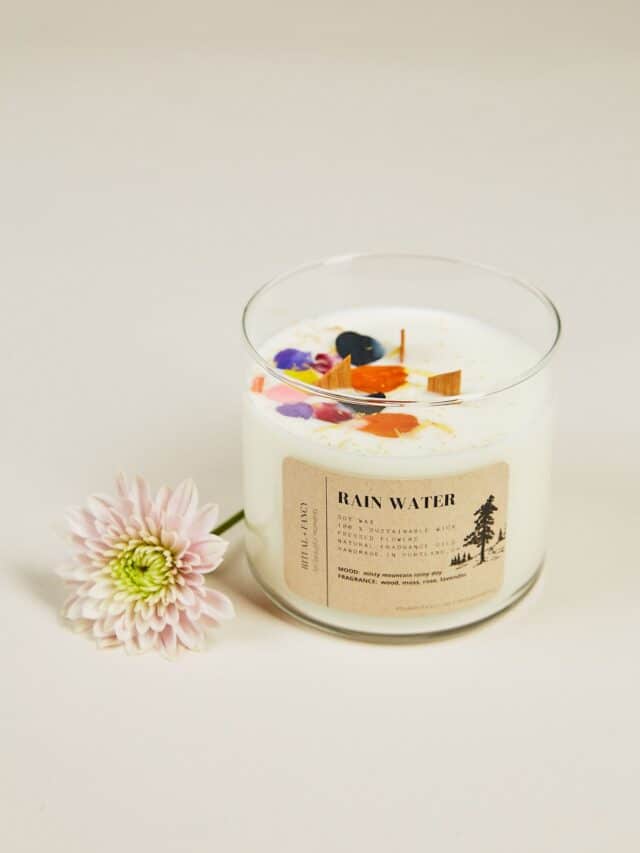 15 EcoFriendly, Organic, NonToxic Candles Going Zero Waste