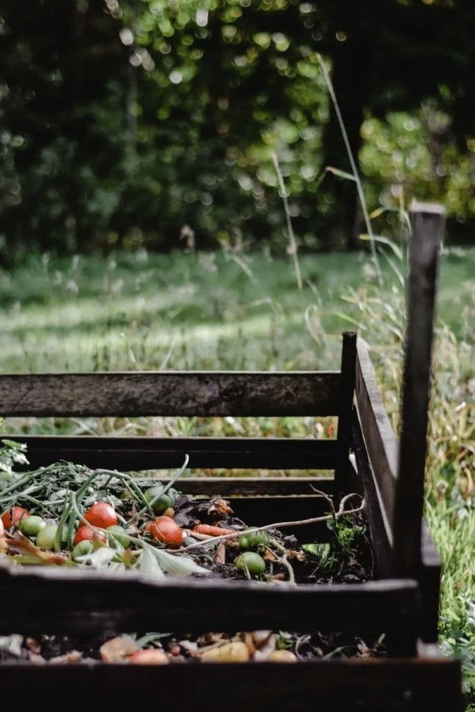 outdoor compost