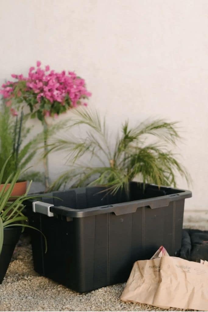 bin that is for compost