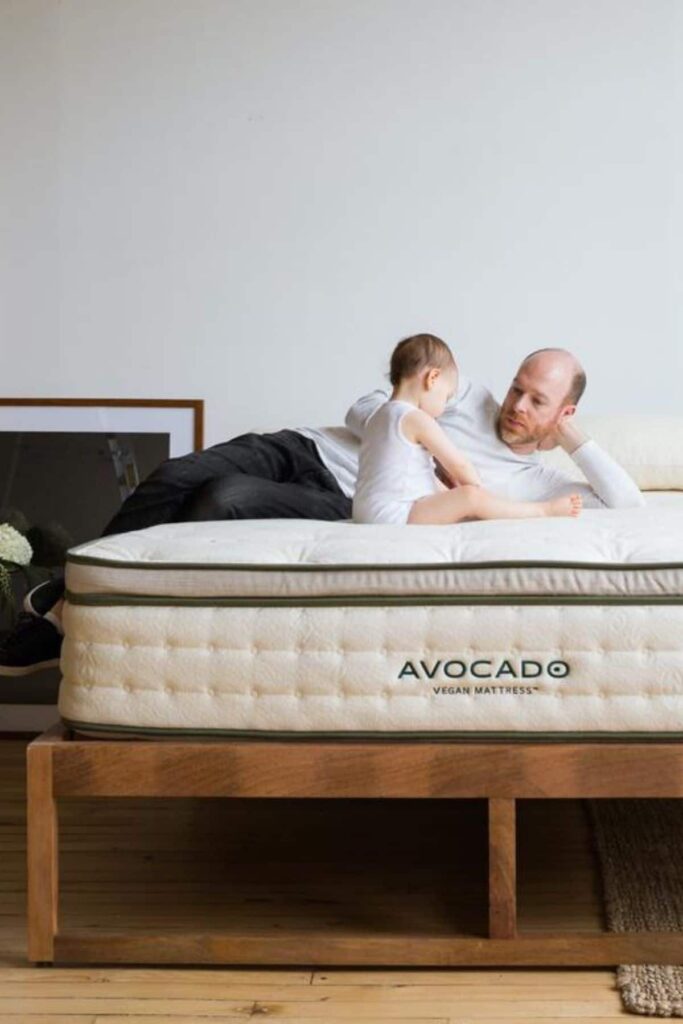 all natural, sustainable and organic mattresses for any eco friendly home.  Avocado mattress - the futon shop