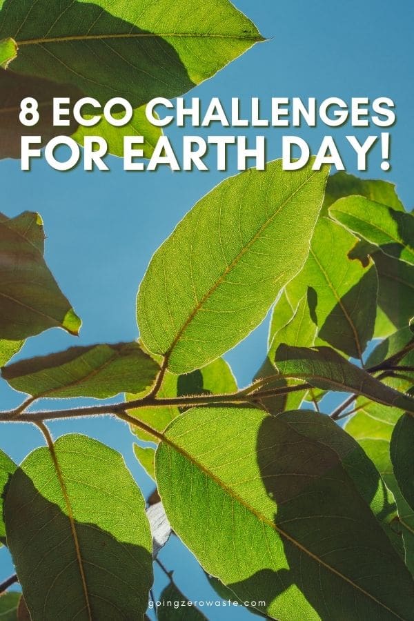 8 Eco Challenges for Earth Day