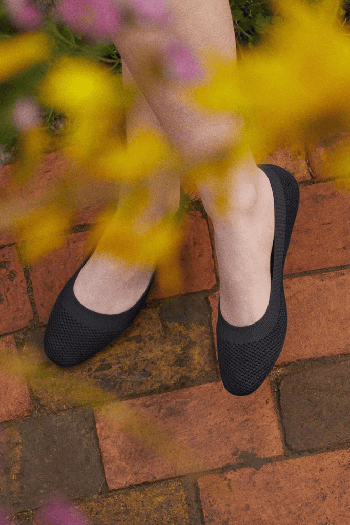 Allbirds: Sustainable and Ethical Shoe Brands