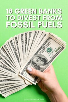 18 Green Banking Options That Empower a Green Economy 18 green banking options