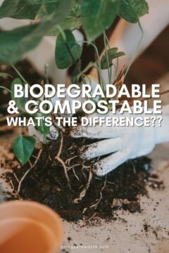 Biodegradable vs Compostable: What's the Difference? Compostable vs biodegradable