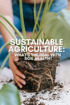 sustainable agriculture