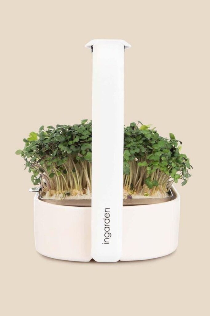 Ingarden: Sustainable Gift Guide