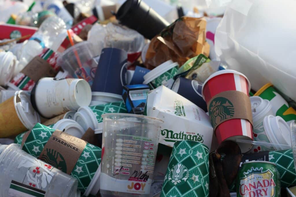 Recycled Plastic: Is It Eco Friendly or Greenwashing?